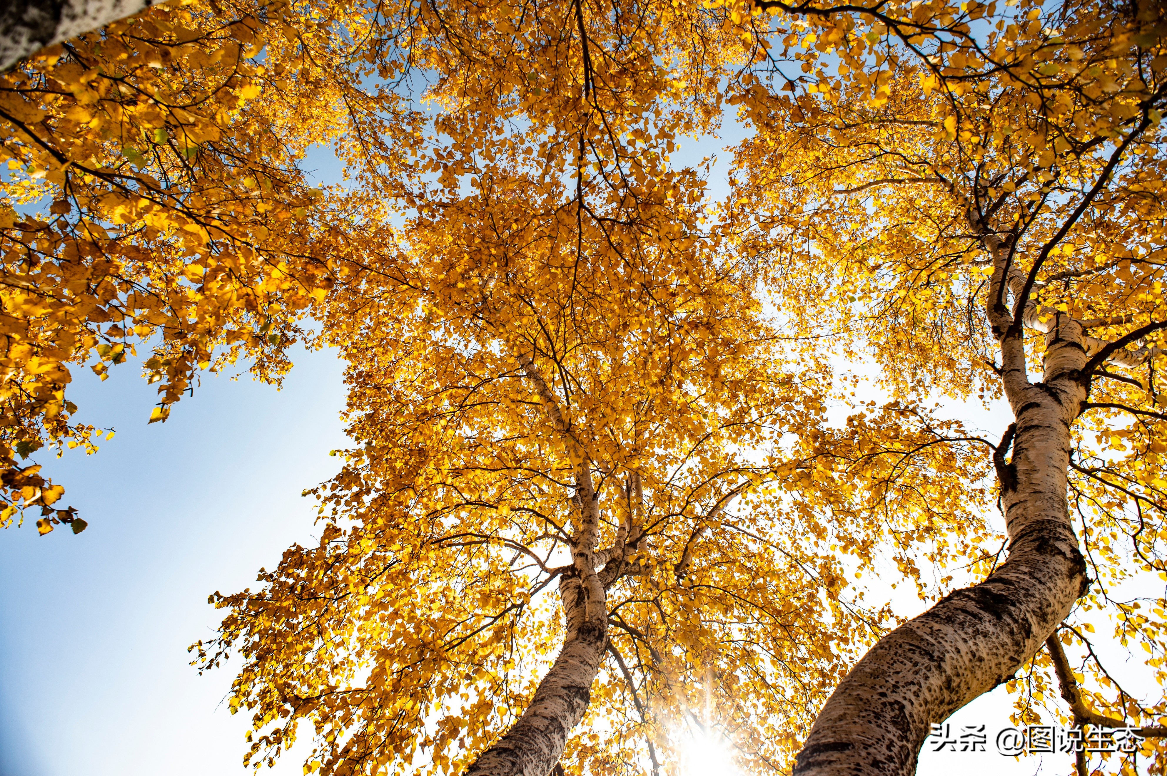 坝上草原游玩的好去处,锡林郭勒大草原和丰宁坝上