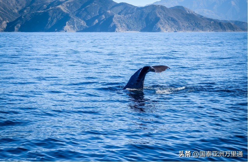 一年四季绝美风景 (关于季节性的旅游景观)