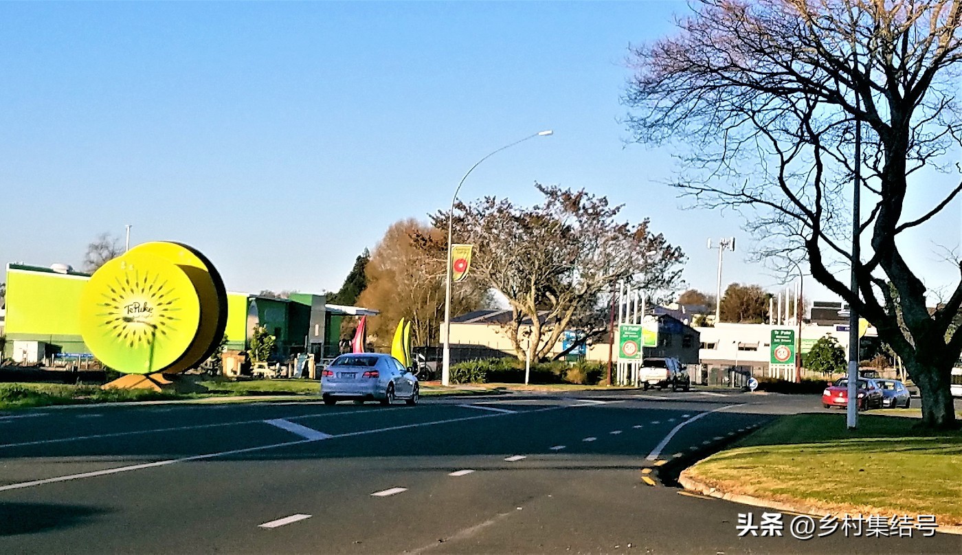 奇异果之都蒂普基地形图,新西兰奇异果小镇蒂普基