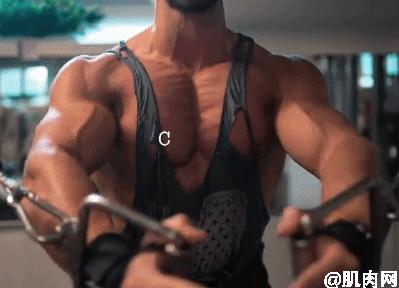 世界上最帅最强壮的肌肉男人,2021全球最帅男面孔第一名