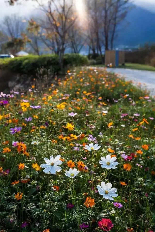 杭黄高铁到婺源,杭黄高铁黄山到杭州