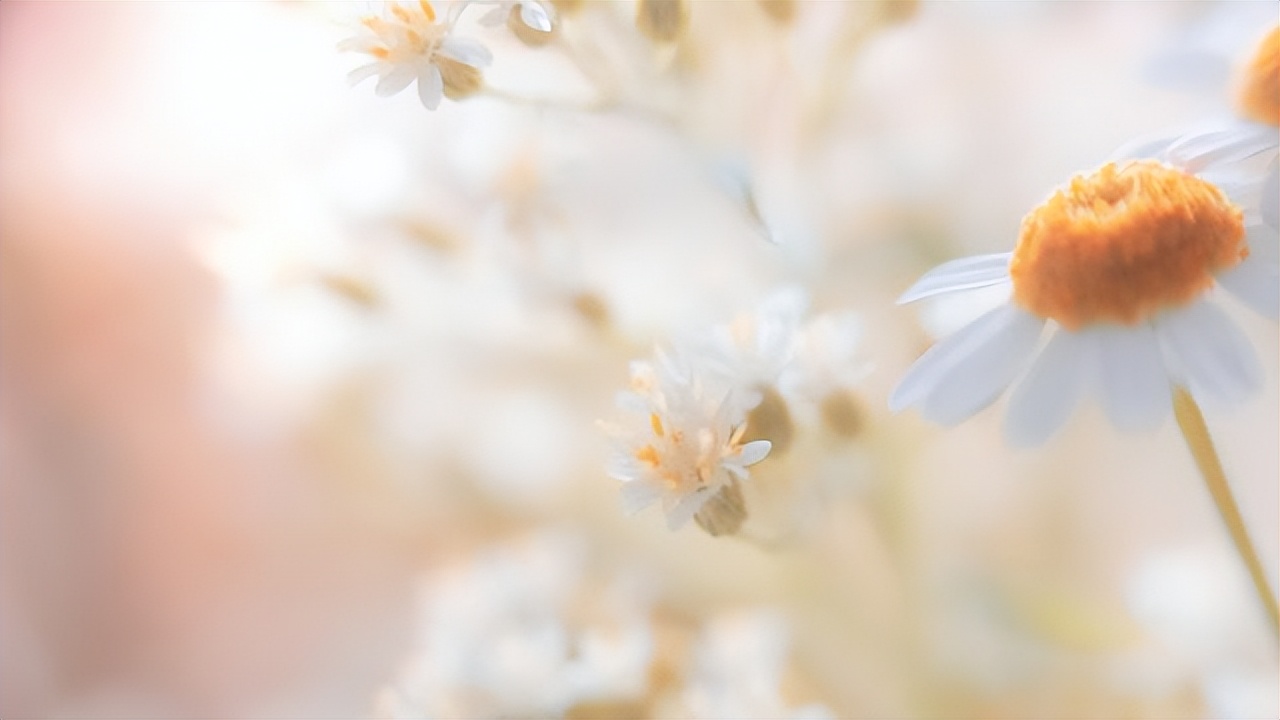 瑞士雪山上的星空,雪山上的惬意生活