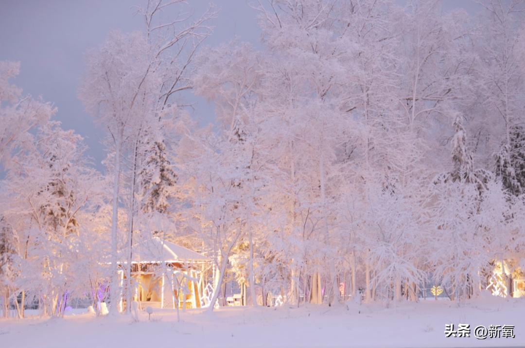 被嘲是土包子N年,现在竟统治内娱爆剧了???