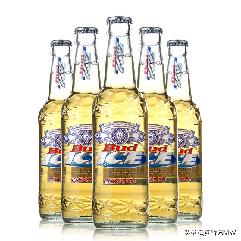 啤酒新手入门,啤酒新手入门教学视频