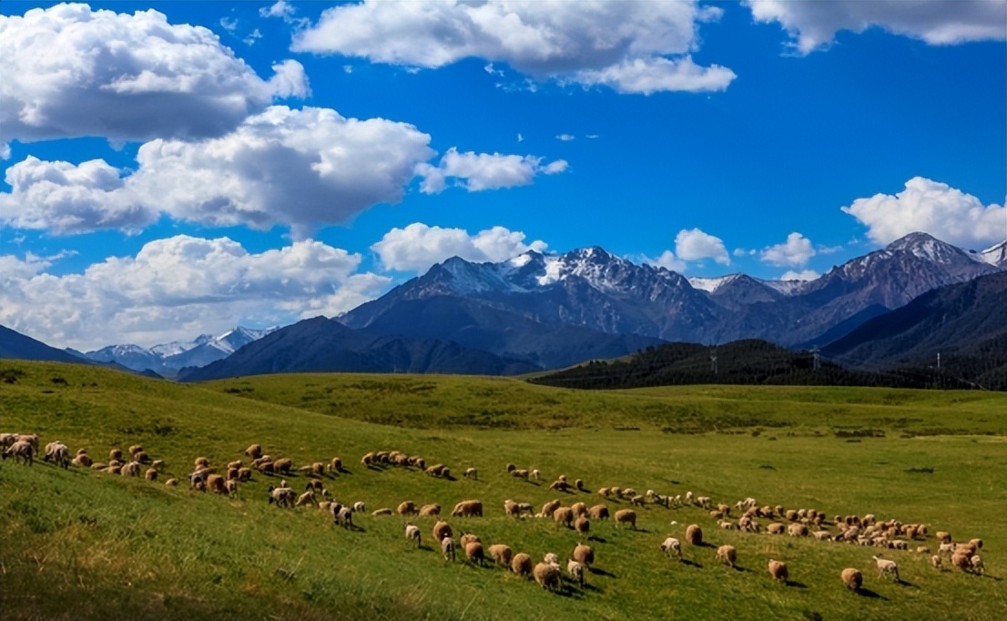 祁连山雪域牧场,祁连山壮丽山河