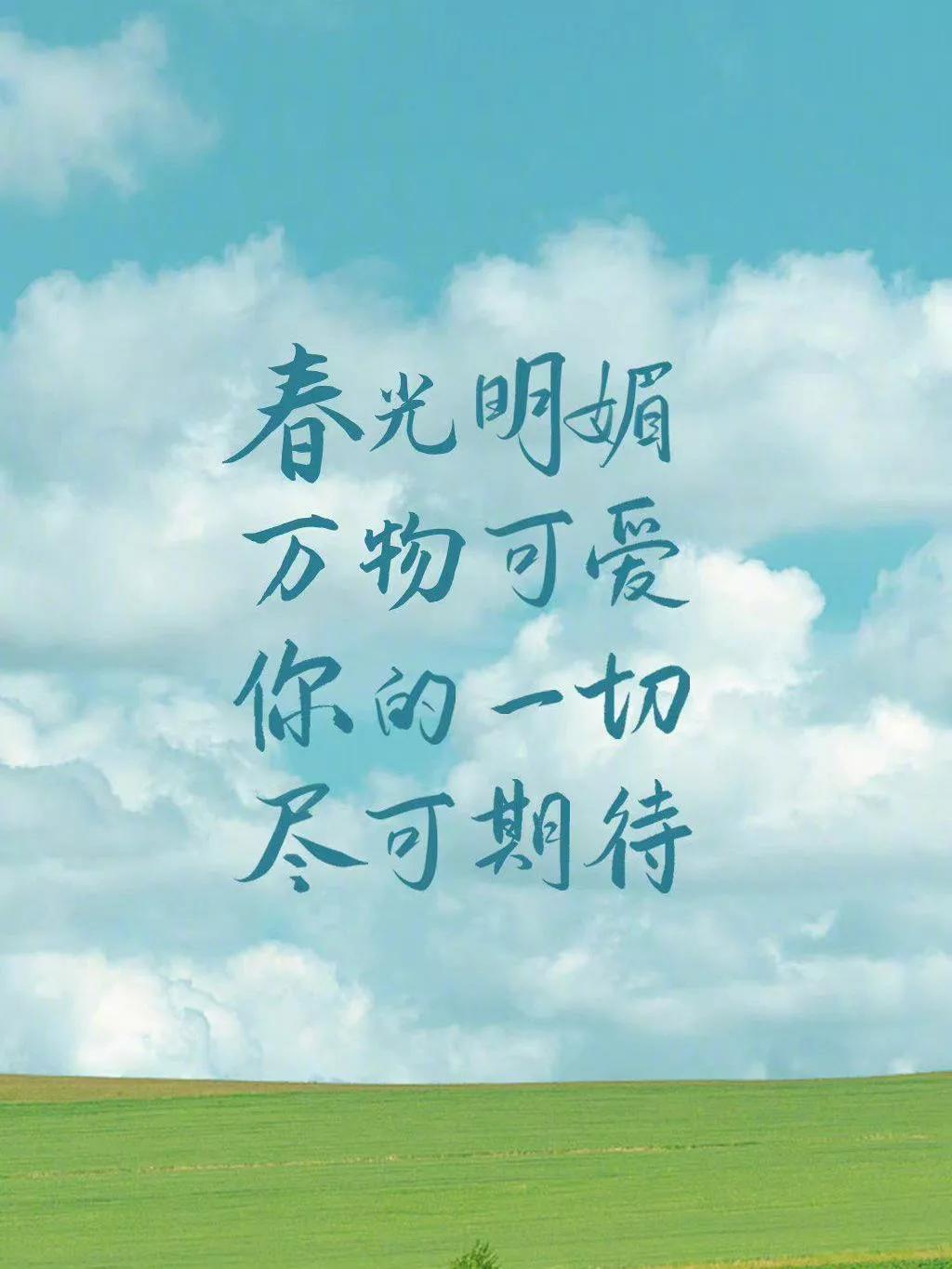 真爱之爱情的胎记