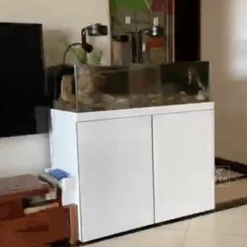 四川地震65人遇难：这不是网络段子，是他们真实的苦难