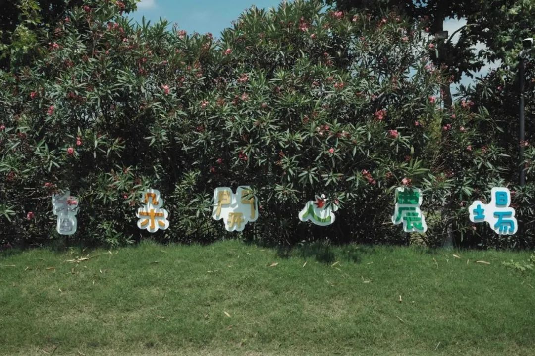 20亩果园盈利模式,农场果园10大盈利模式