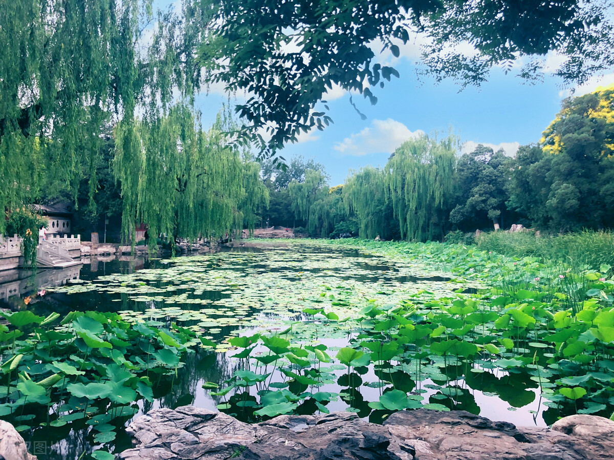 晨雾缭绕景色迷人,晨雾中看晶莹剔透的霜花