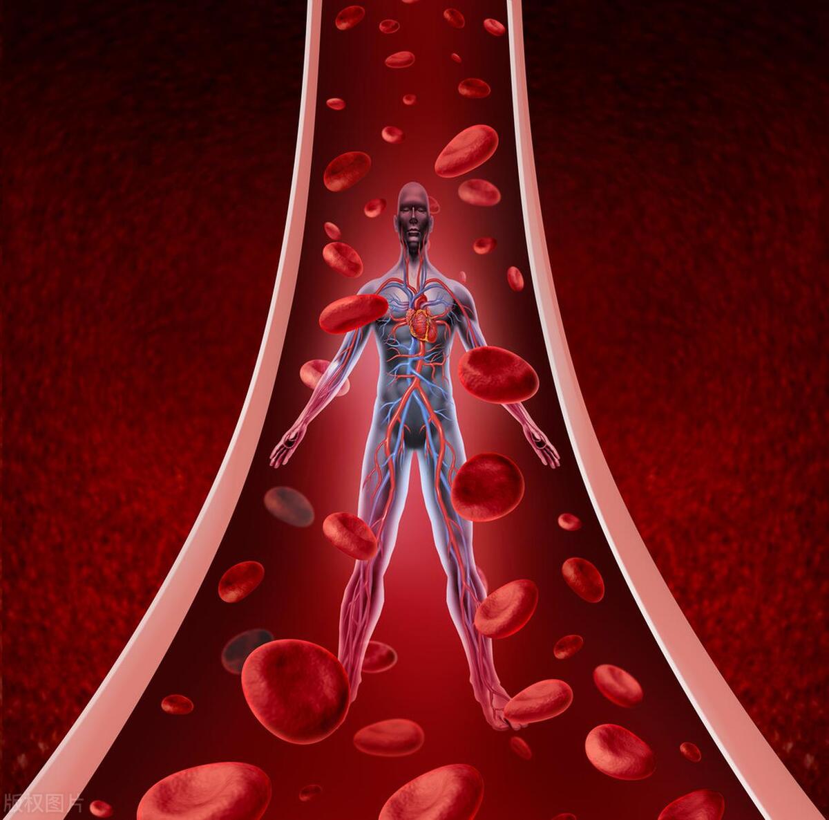 血虚血热血燥方剂,血虚血热血寒血瘀