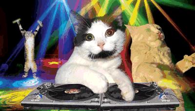 水润遮瑕不暗沉的粉底液测评大牌,测评哪款持妆效果久不脱妆粉底液