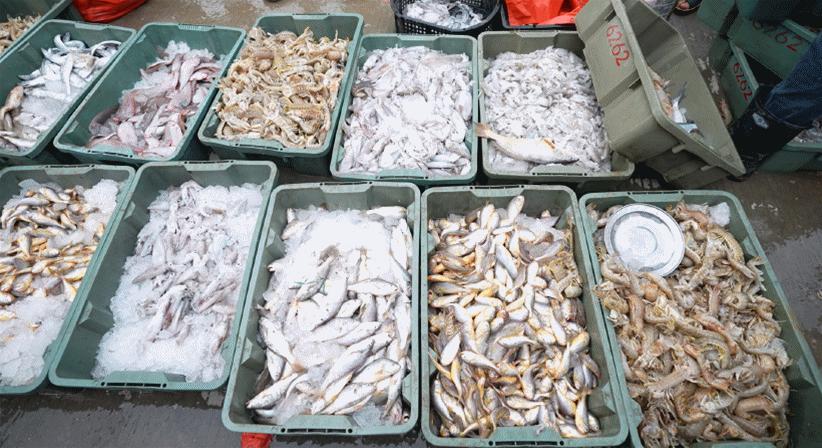 1986→2023！福州“五一”打卡绝美体验地！