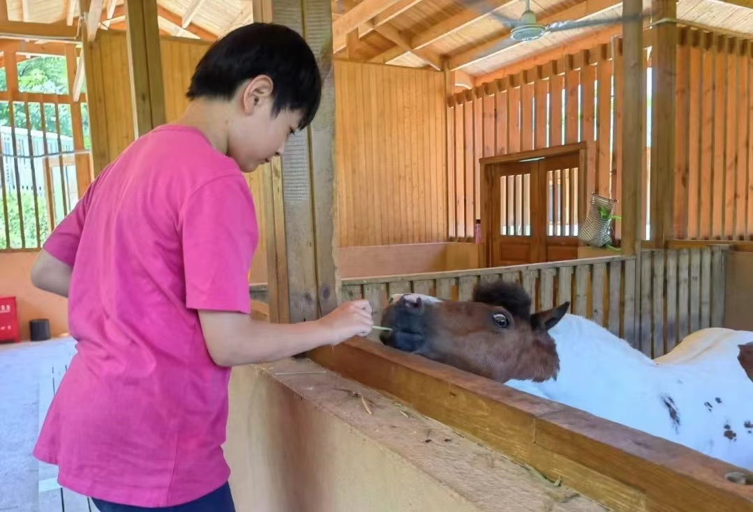 莫干山开元森泊和莫干山森泊,莫干山开元森泊2天一夜攻略