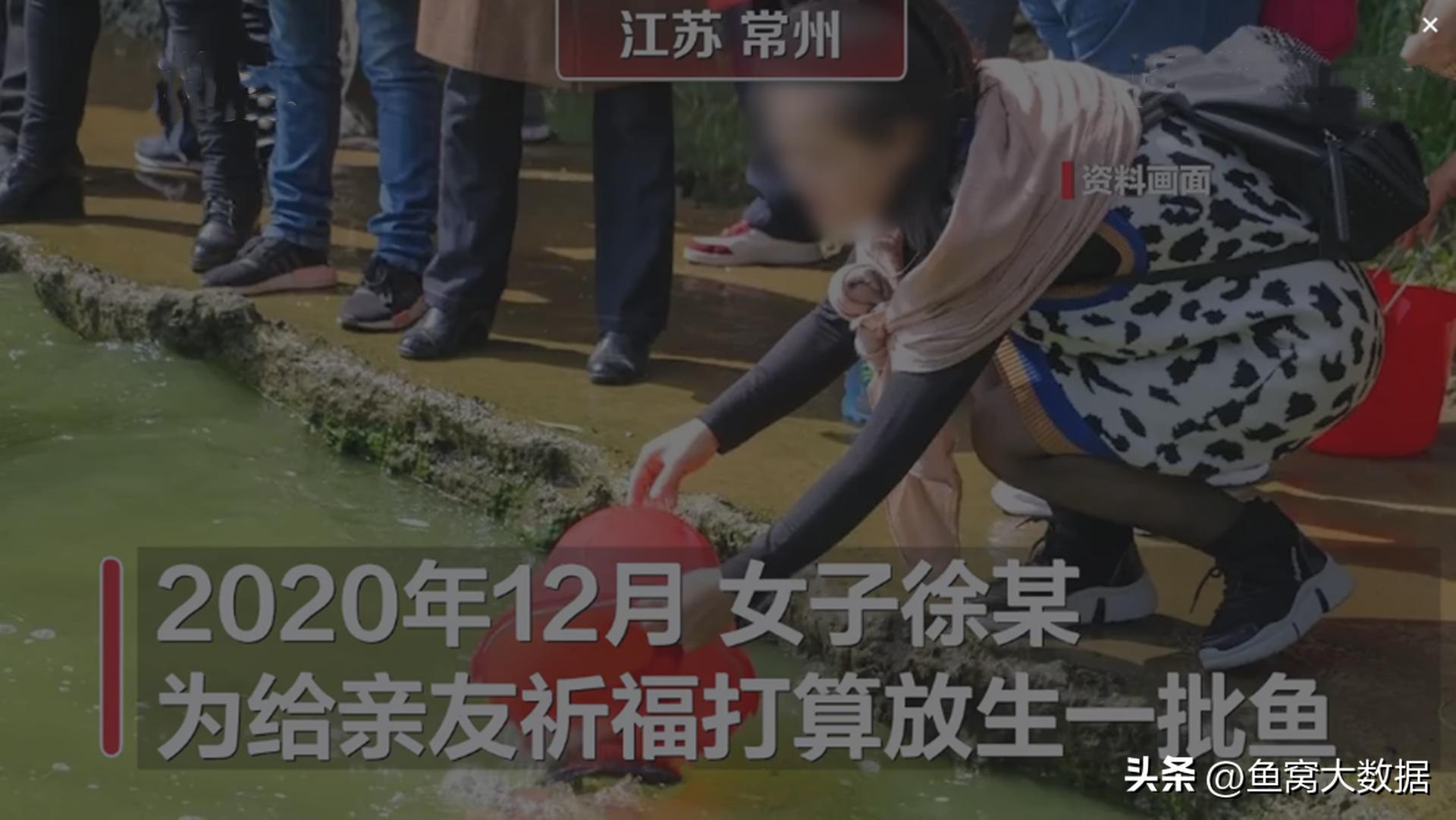 革胡子鲶销声匿迹,革胡子鲶性成熟几年