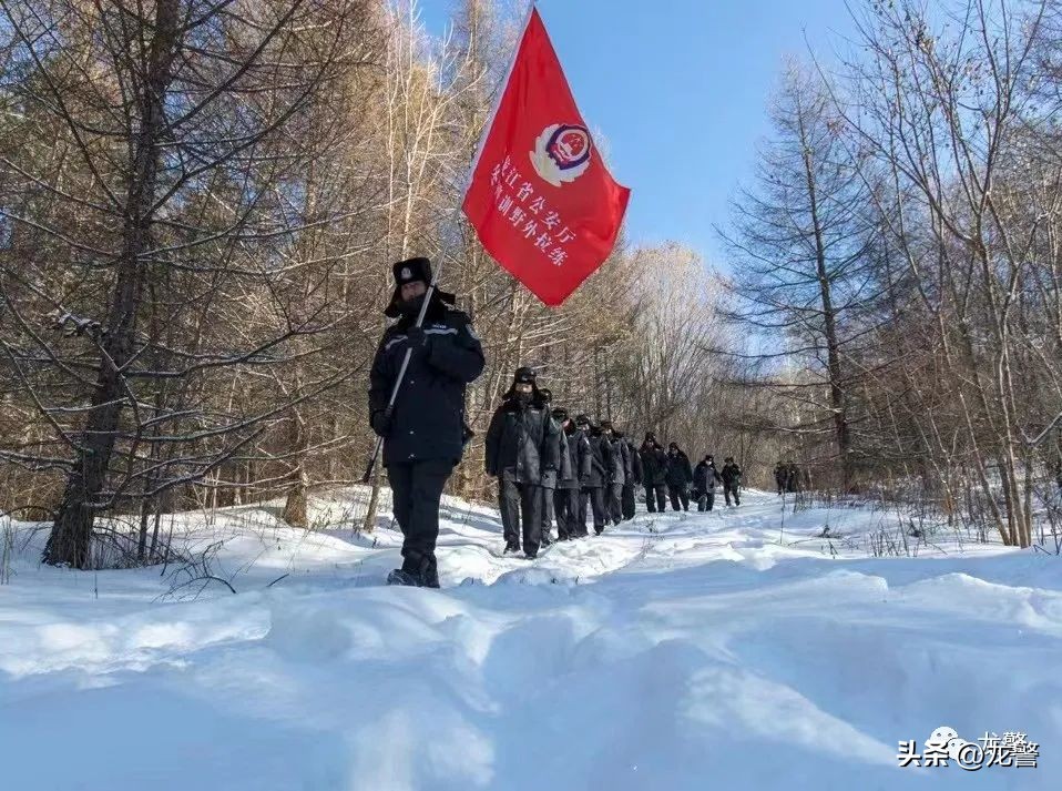 龙警十年，让高质量发展底色更亮