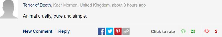 巴哥犬最大的特点,巴哥犬的3个优点和4个缺点