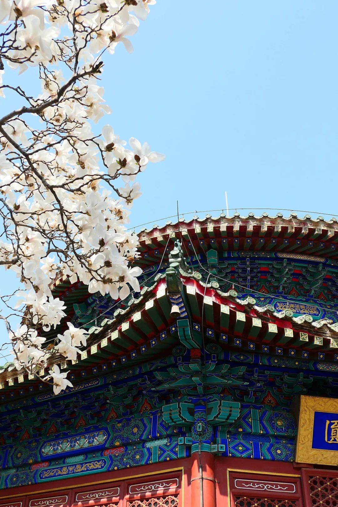 中国最灵的寺庙雍和宫,不要再去一个人挤人的景点