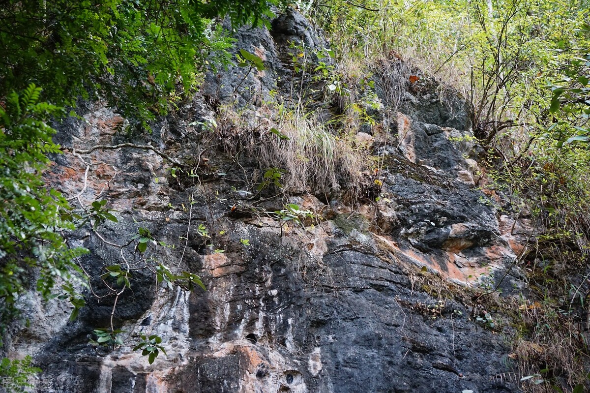 酷热难耐的八月即将过去,天气太热了回云南避暑