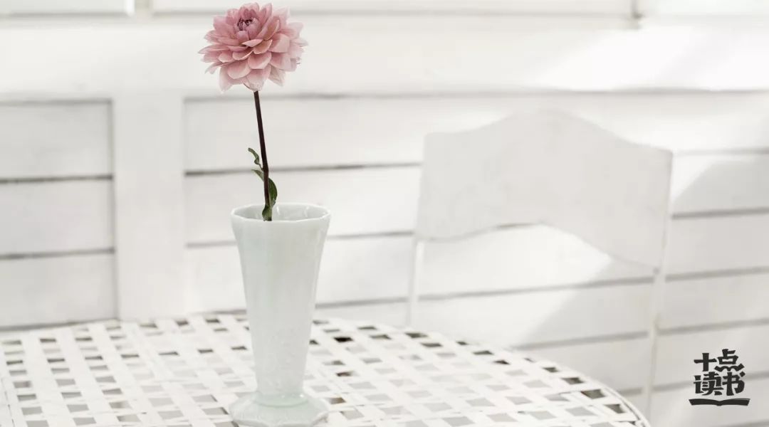 惊人的吸引力法则与因果,吸引力法则是不是因果法则