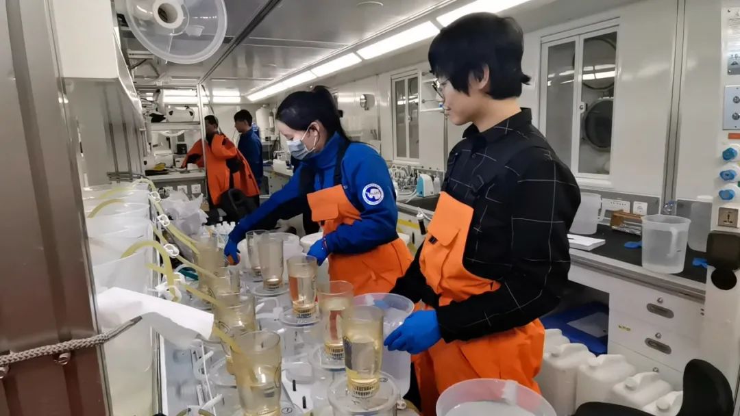 厦大学生前往南极科考,厦大地球与海洋学院和海洋三所