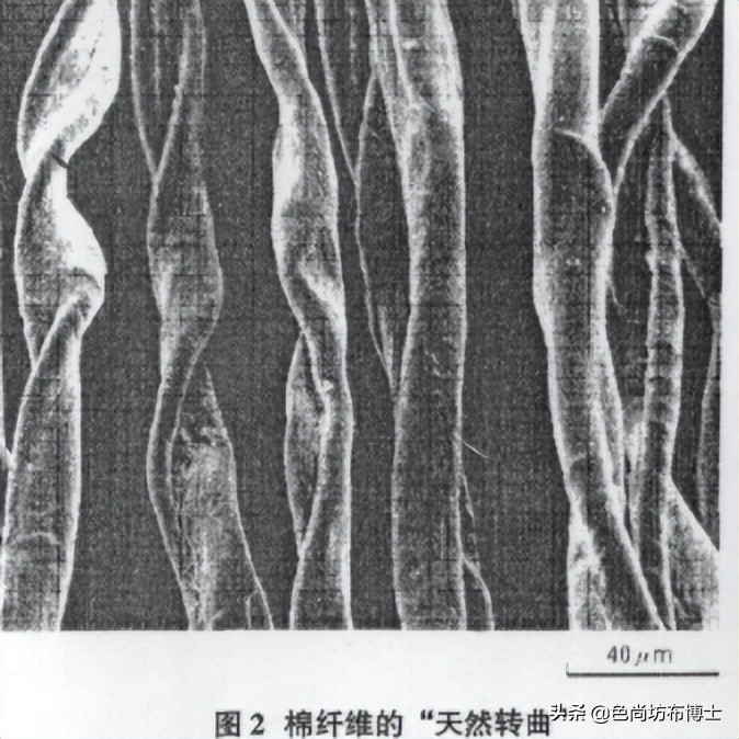 聚酯纤维和棉性能对比,仿制棉与聚酯纤维