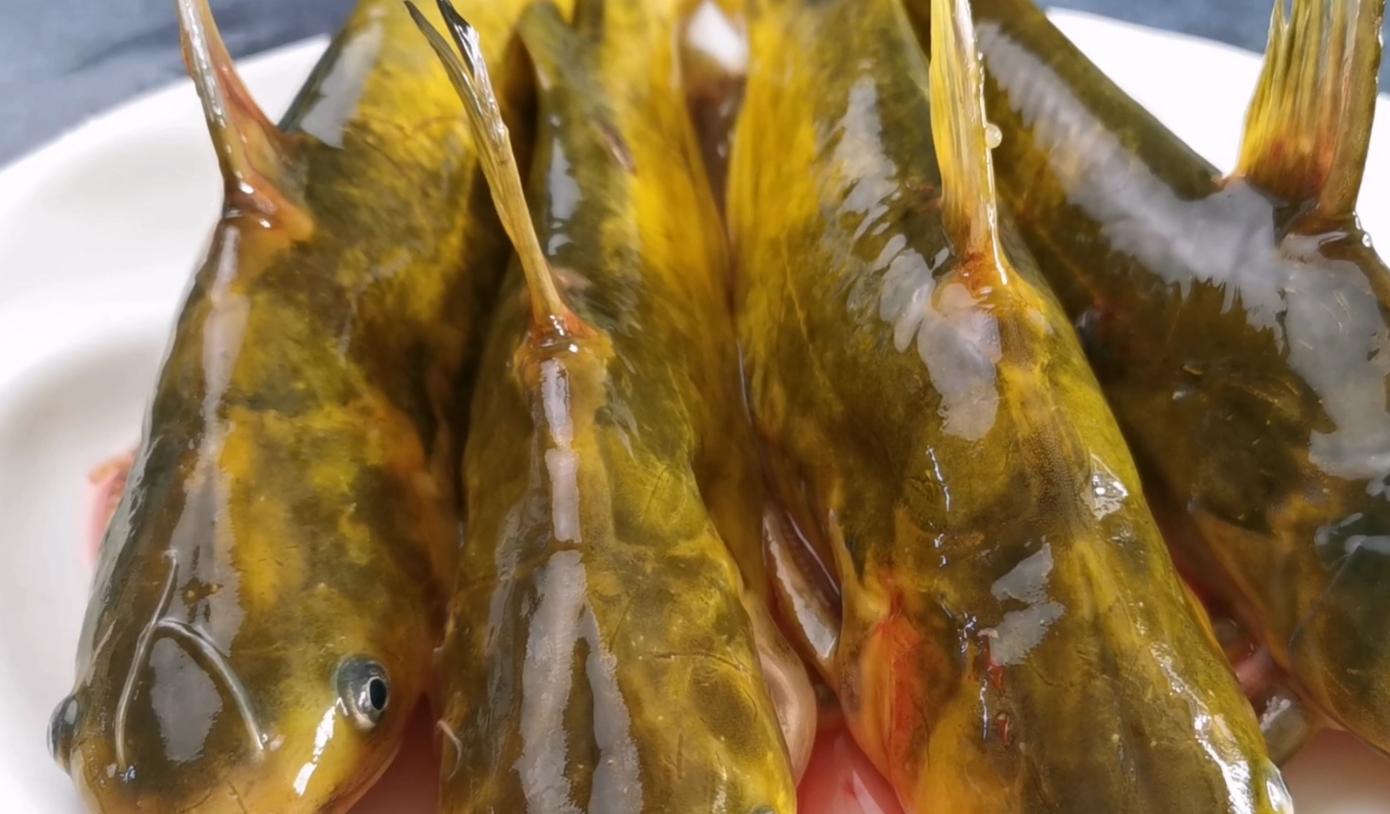 不论炖什么鱼最忌放这2种调料,炖鱼的时候多放什么鱼才能不腥