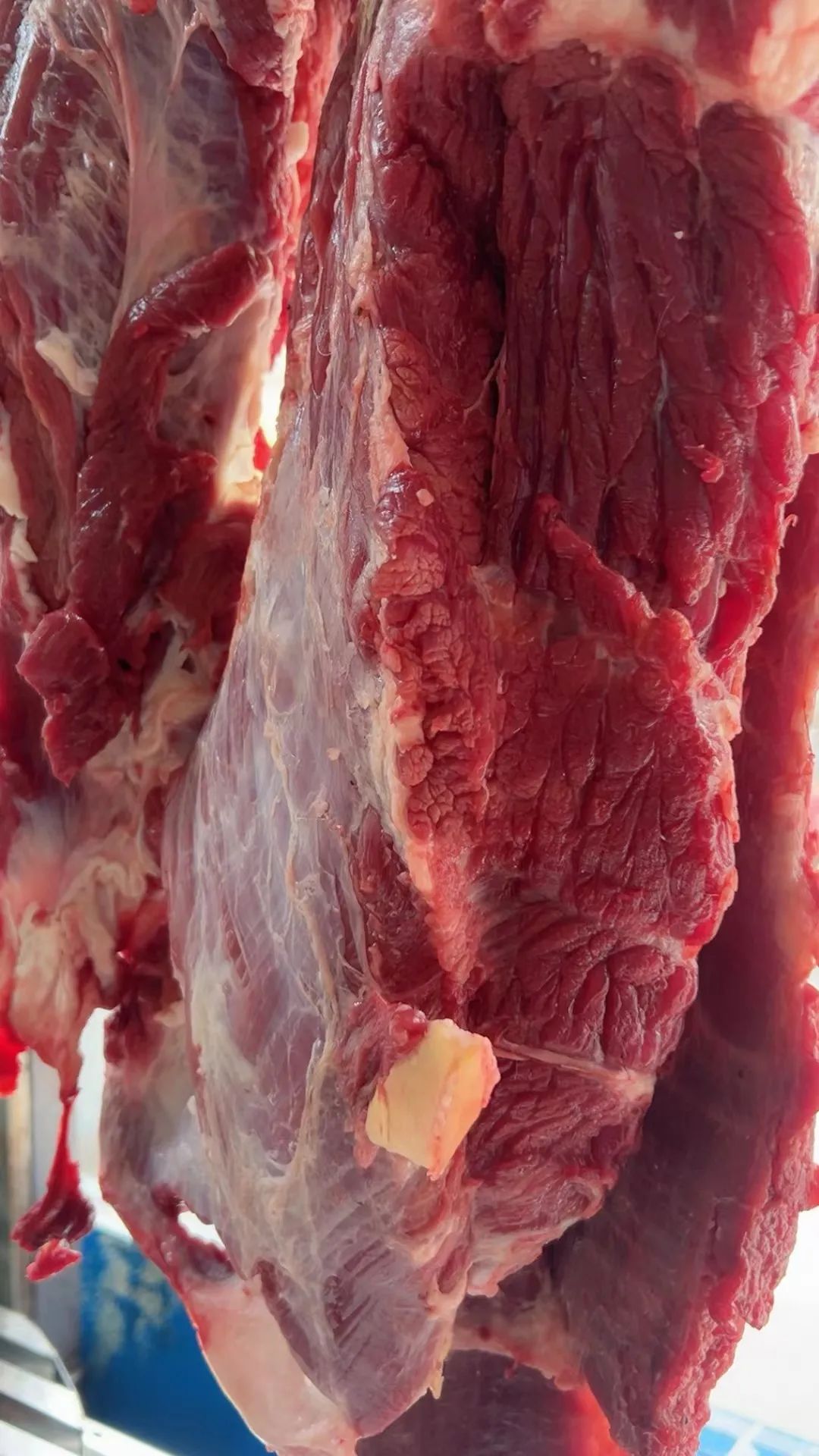 怎样开好一家盈利的牛肉汤店,热门牛肉汤加盟利润多少