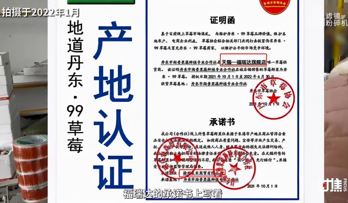 为什么丹东草莓都是四川发货,丹东草莓真的假的