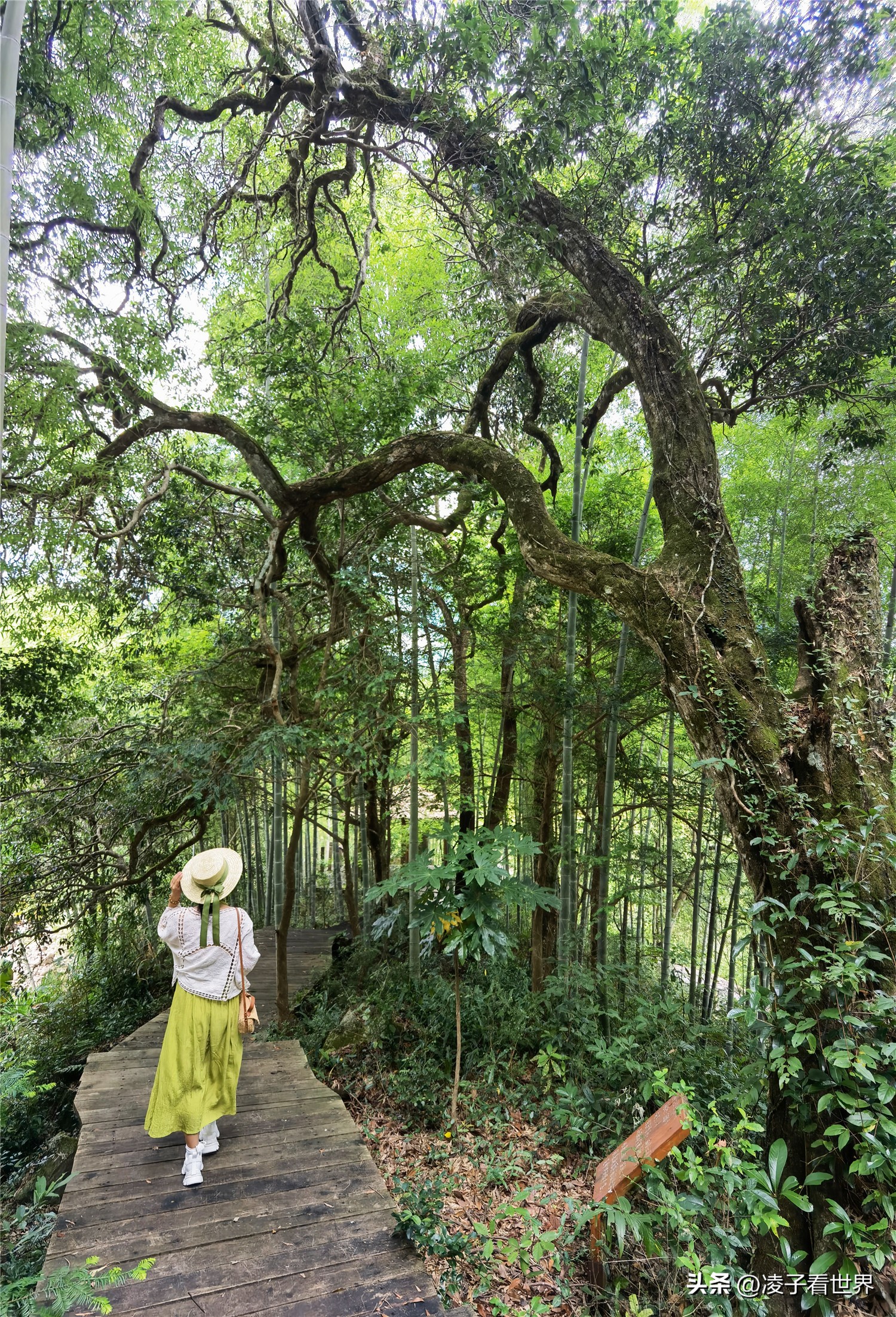邵武云灵山漂流需要带什么,邵武云灵山漂流多长