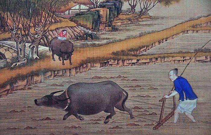 食盒，古人点外卖，是“酒囊饭袋”，还是“钟鸣鼎食”？