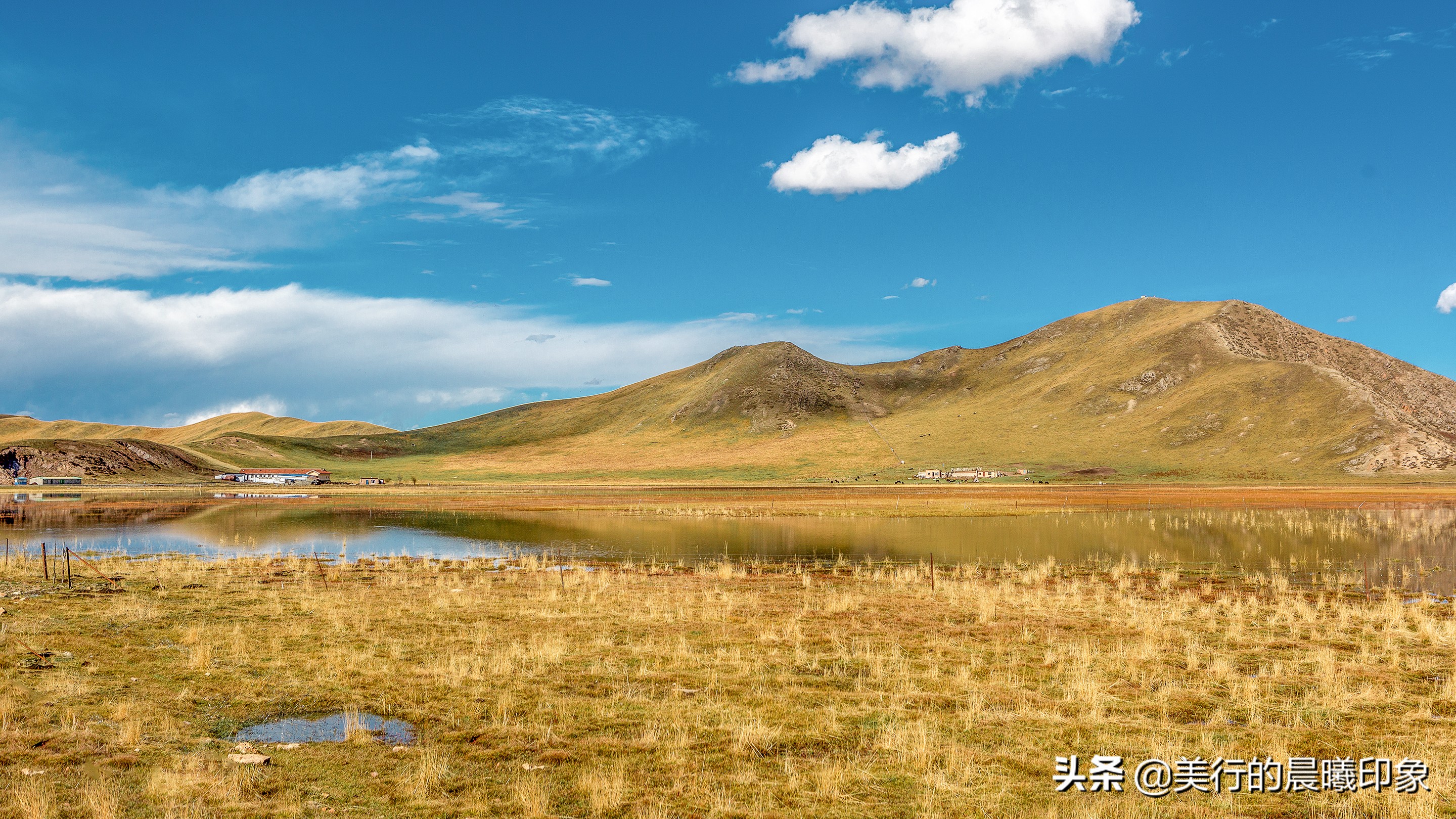 西部自驾三十三天(三十四)——川西高原的绿洲,若尔盖草原