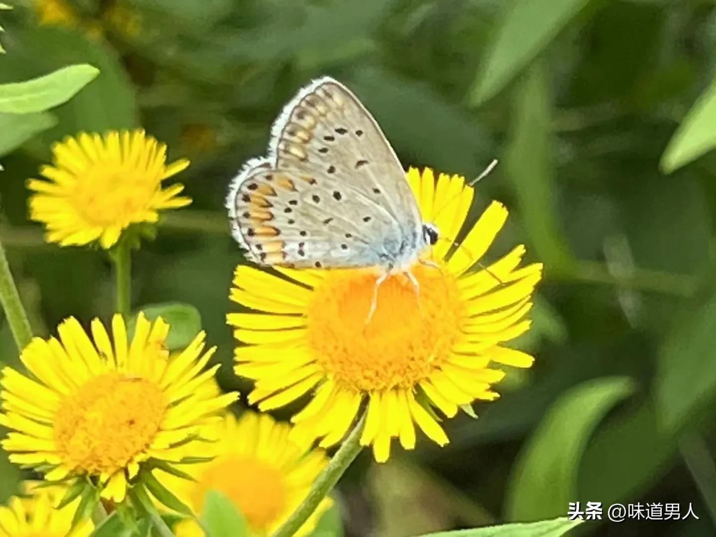 围棋和象棋哪个变化更多,围棋象棋的区别