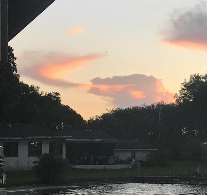 20个让人意想不到的谜语,20张惊人相似照片