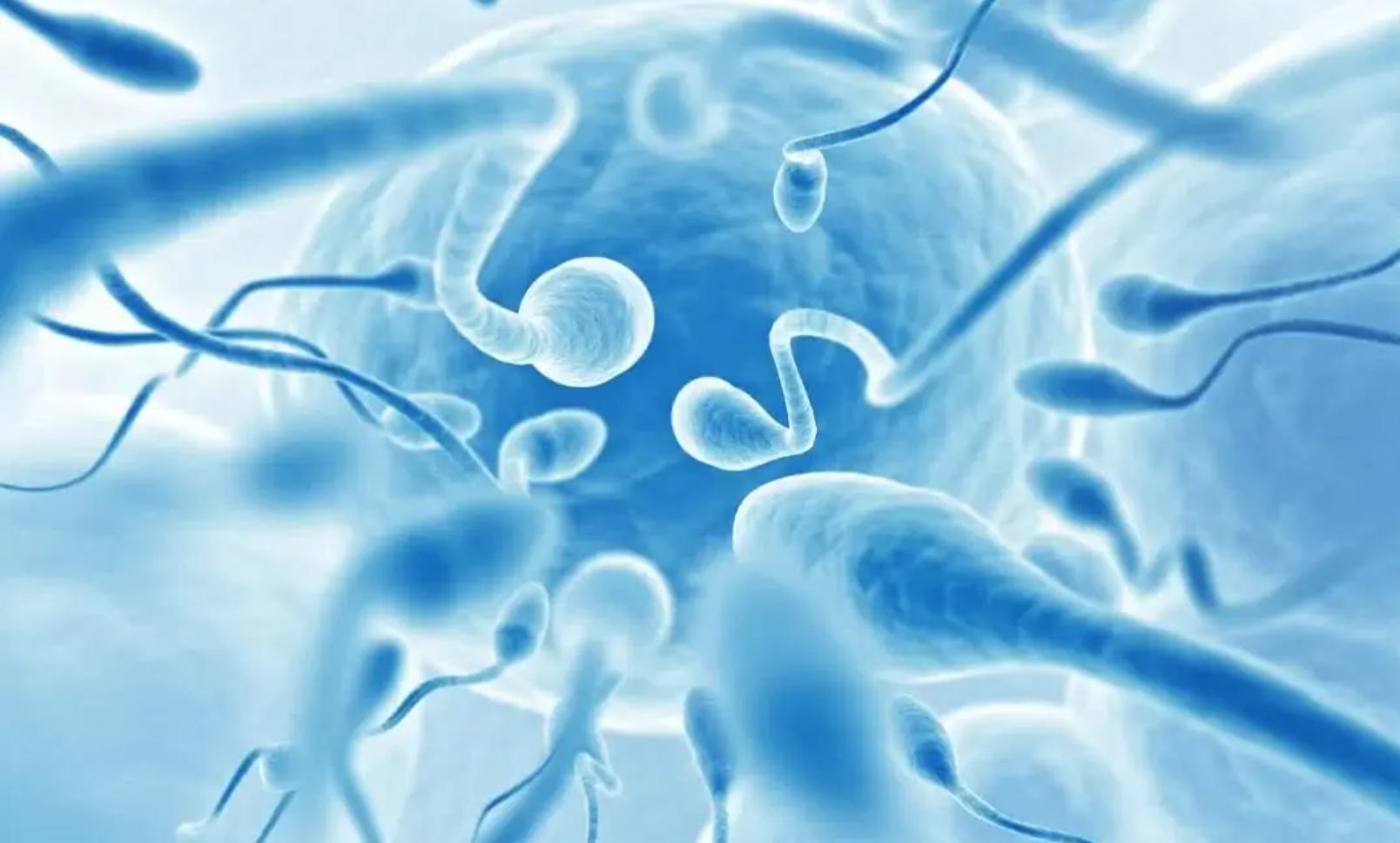 怎么最快速度知道怀孕,最快多久能知道自己怀孕