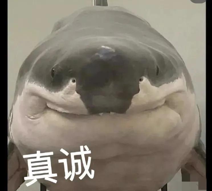 有哪些减肥的笑话,今日笑话排行榜