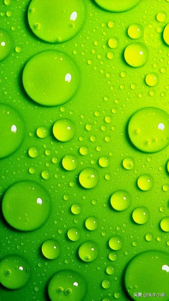 最美的手机壁纸大全,养眼养心的壁纸