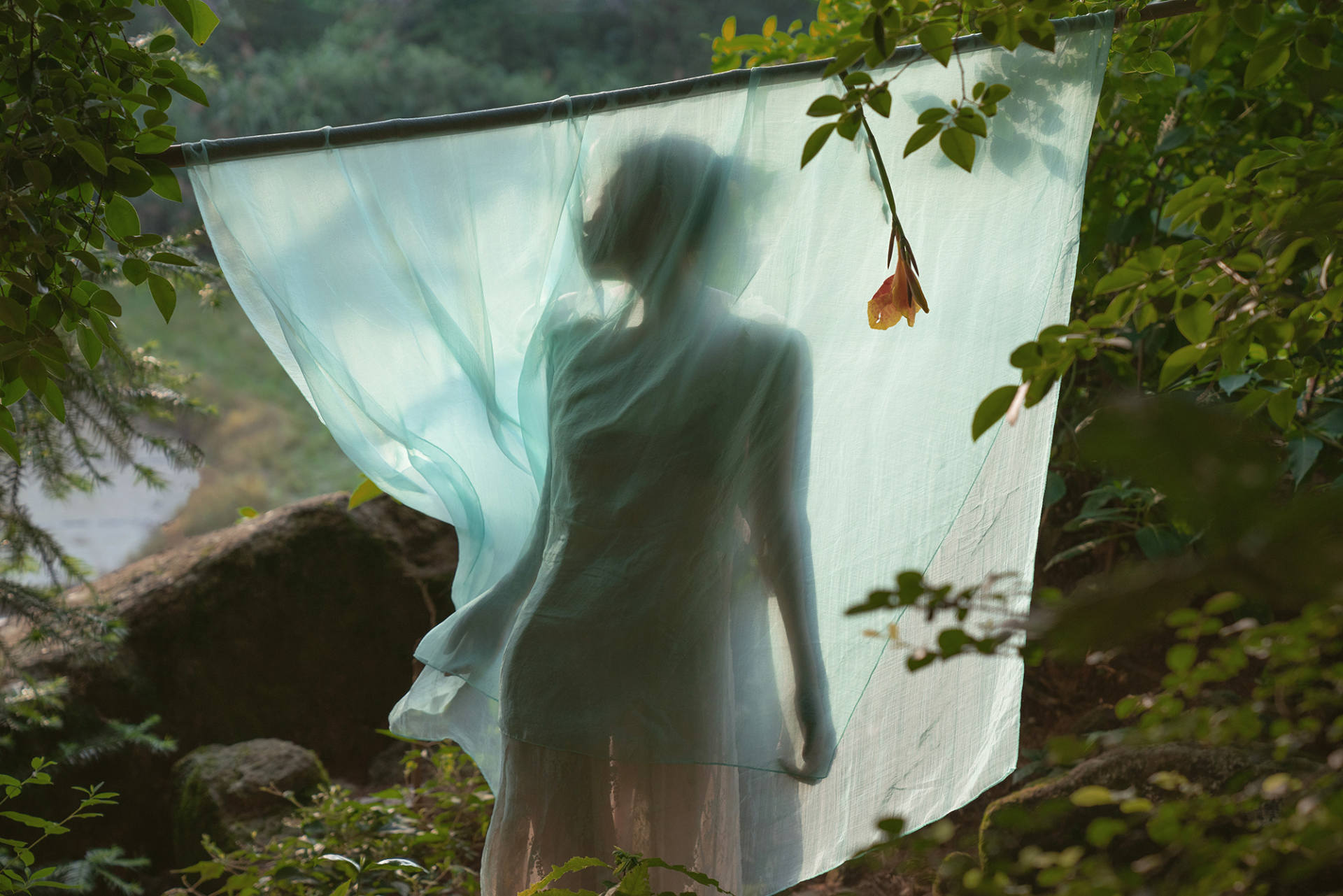 学习笔记2022-8-30