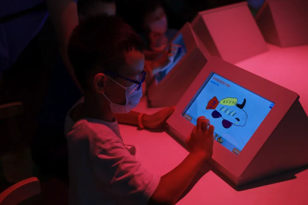 马来西亚乐高乐园自由行,马来西亚新山乐高乐园攻略