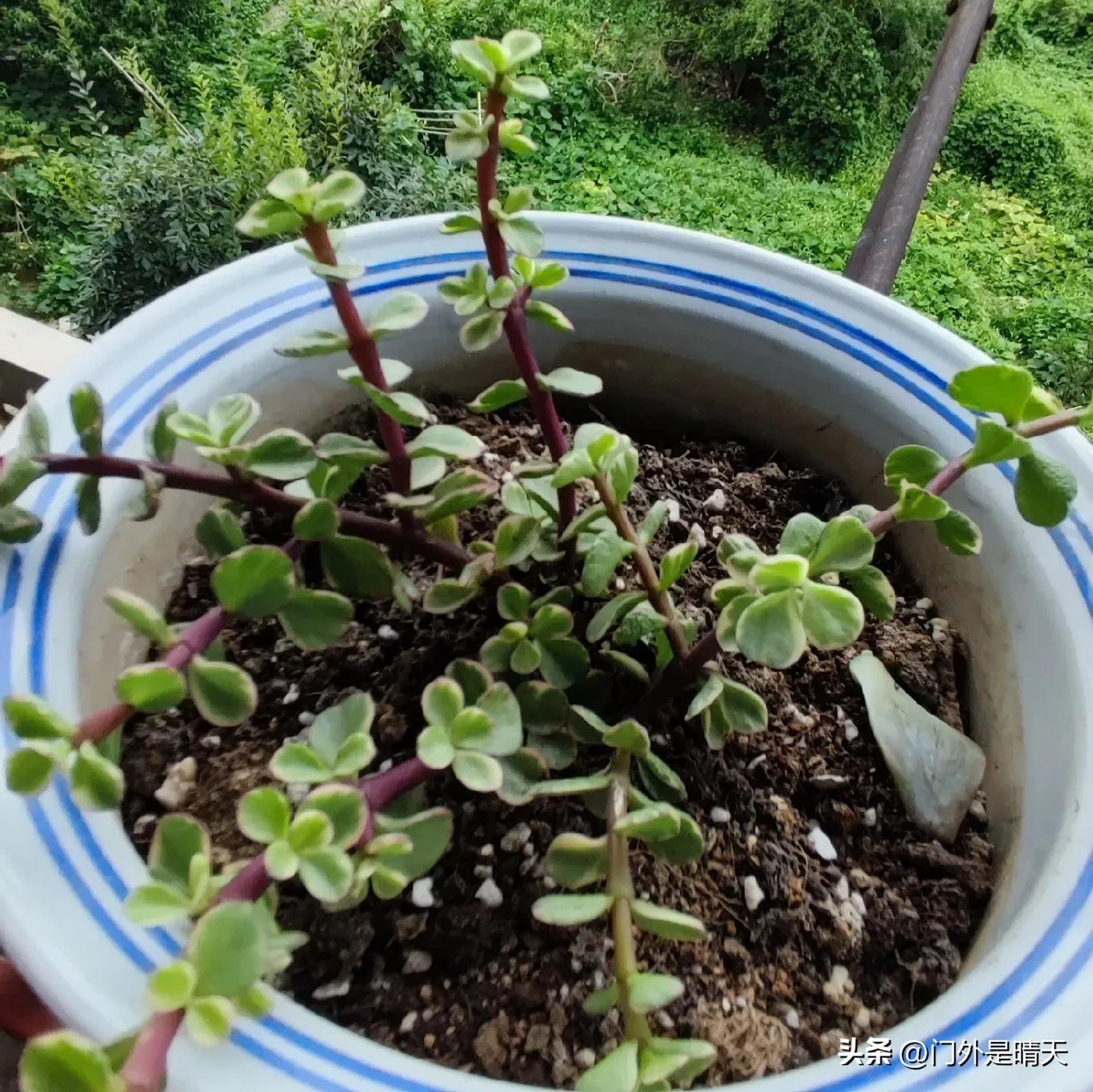 对不开心的工作说再见,不开心的工作怎么选择