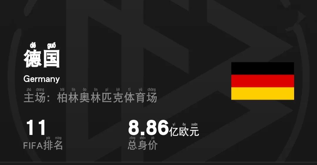 阿根廷卡塔尔世界杯26人名单身价,卡塔尔世界杯身价排名第一