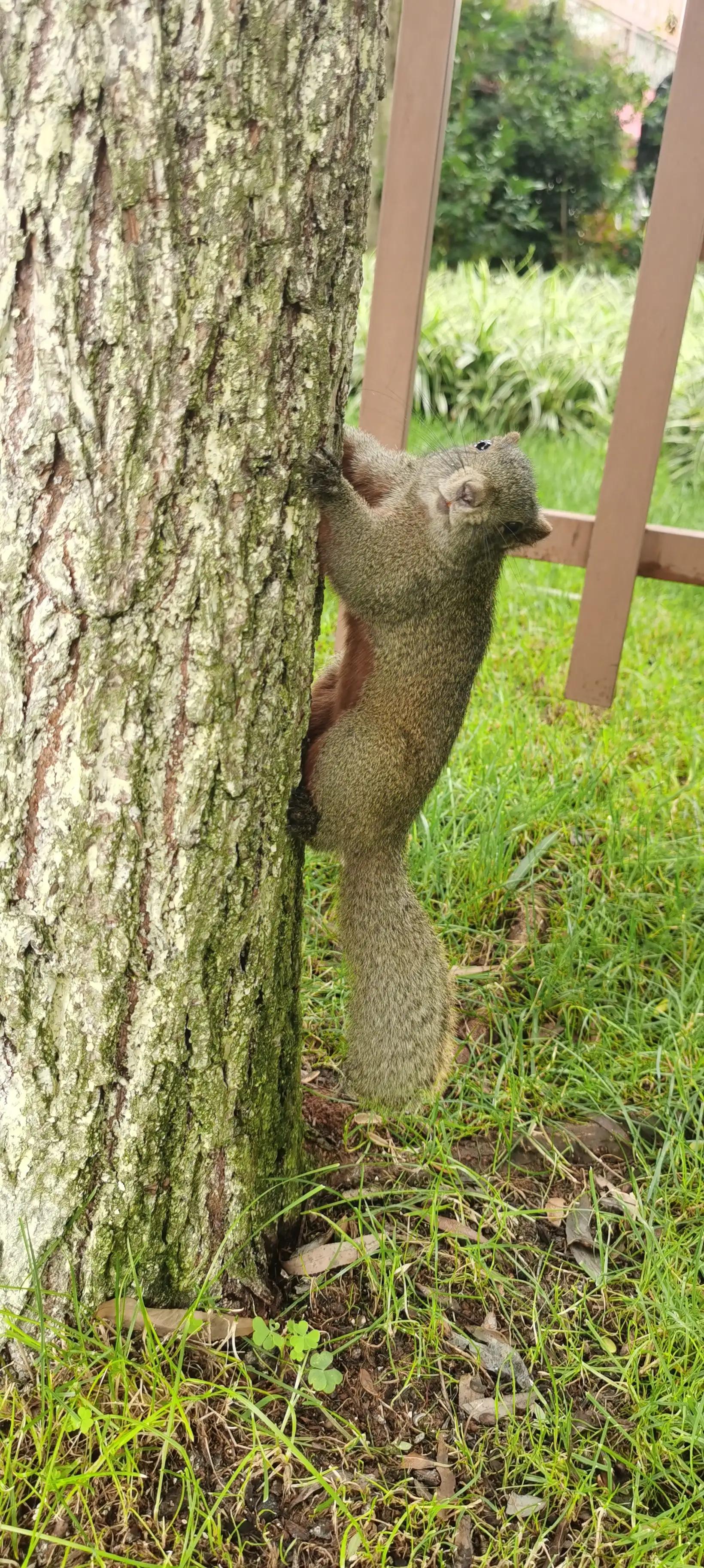 昆明翠湖，“荷”你有约