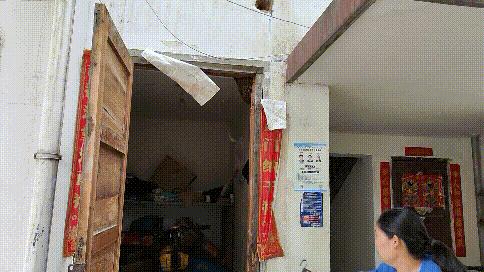 夏季到来当心蛇出没,夏季提防虫子