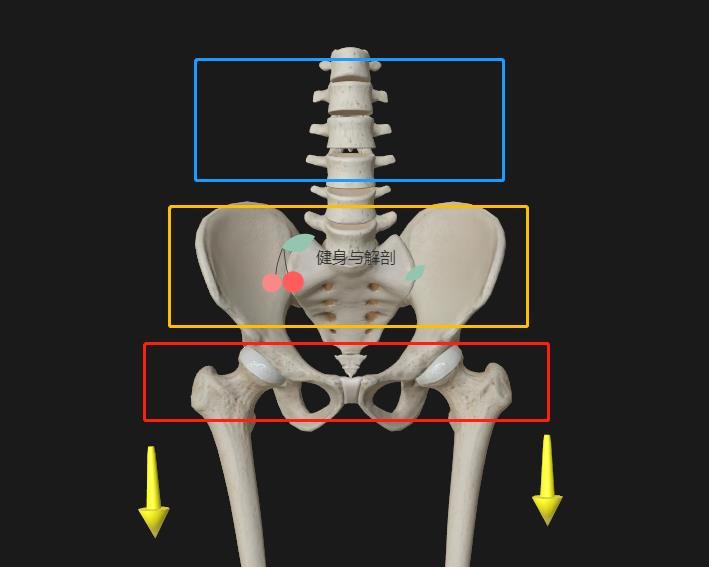 真胯宽和假胯宽的图片,改善大粗腿假胯宽矫正的正确方法