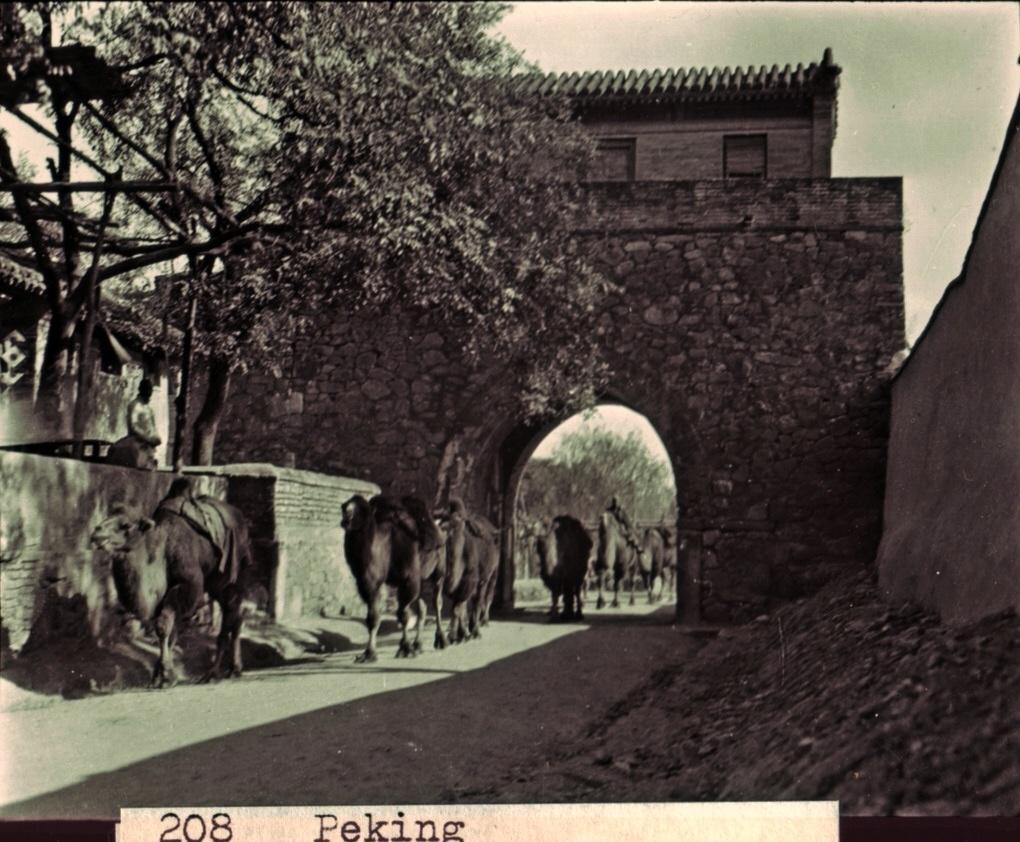 30张真实又罕见的老照片，阴毛假发工作者，我怀疑他用错地方了2