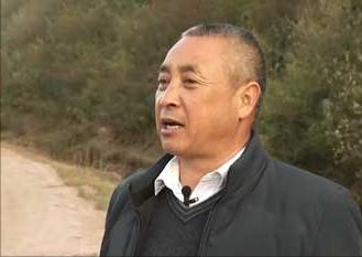 养猪大叔一年赚多少钱,四川大爷养猪完整视频