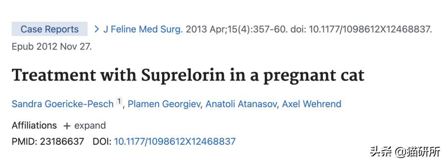 不开刀绝育手术,不打针不手术怎么让母猫绝育