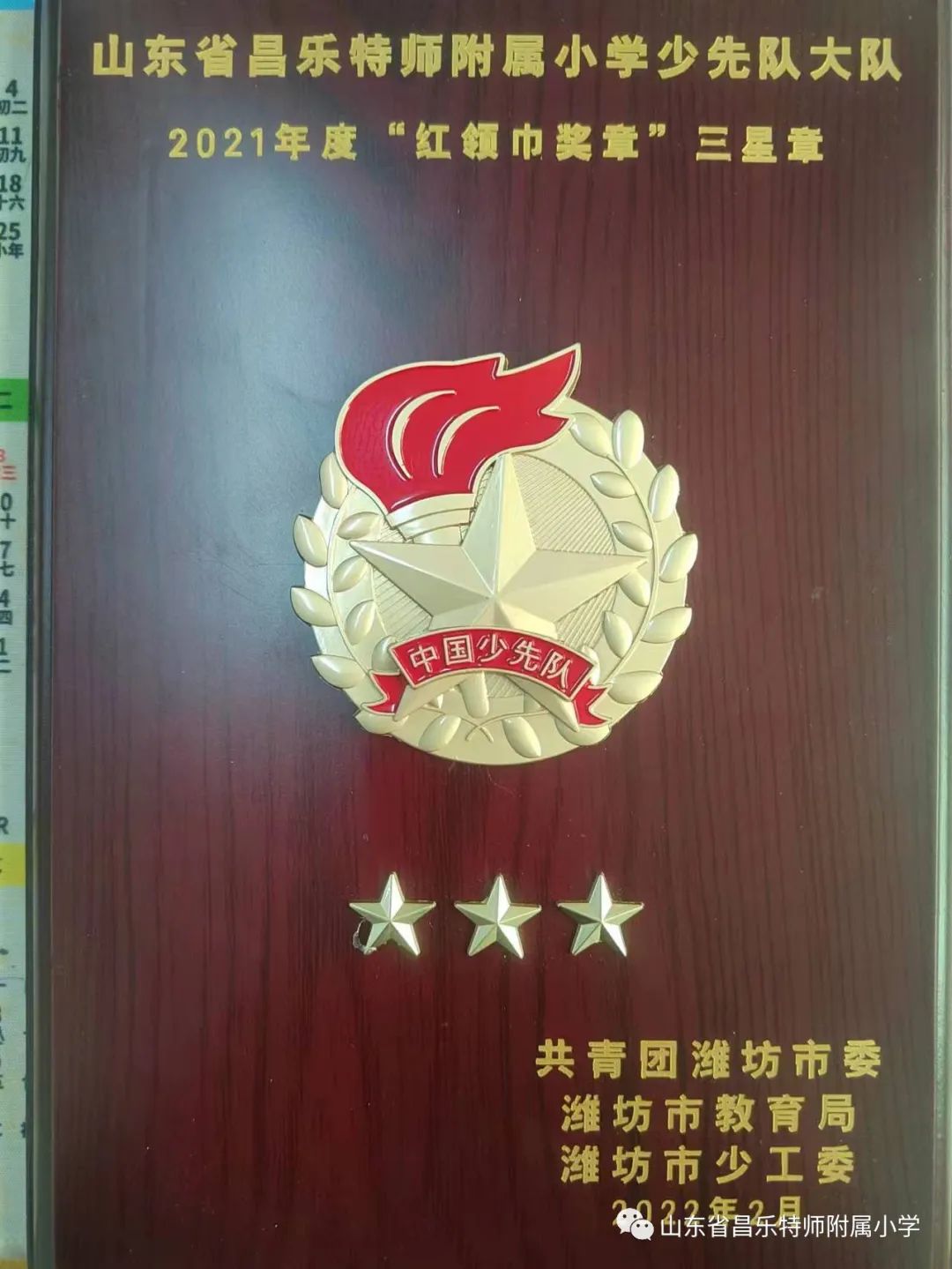 红领巾奖章三星奖章个人风采介绍,红领巾三星奖章队员事迹介绍