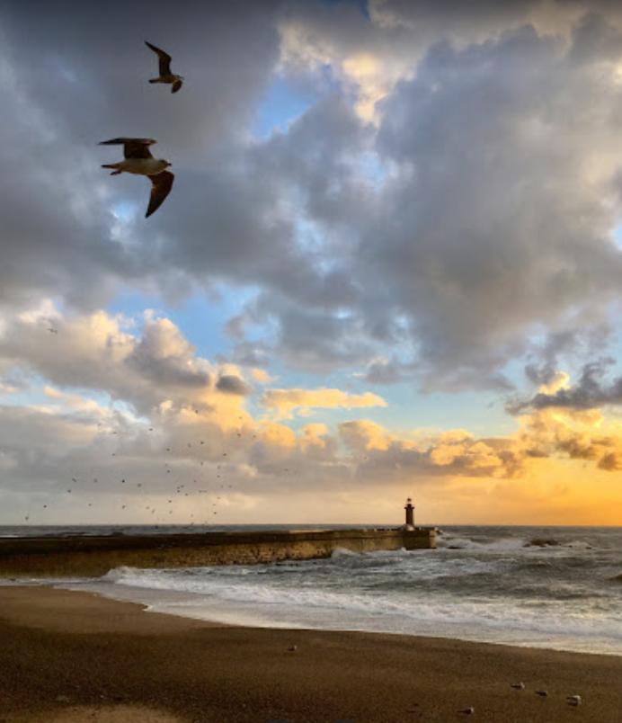葡萄牙波尔图生活,葡萄牙生活环境