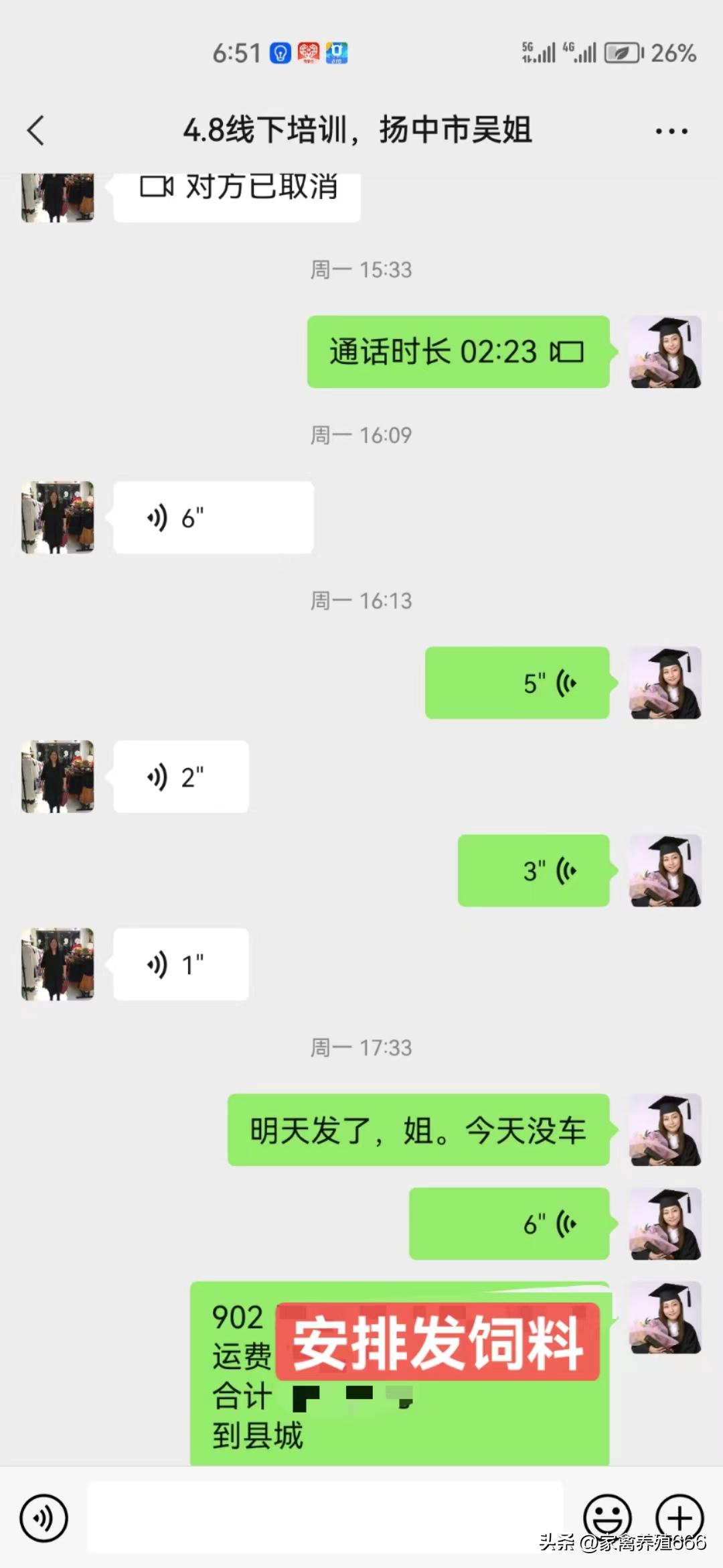 养鹅致富不走寻常路的创业故事,养鹅创业之路