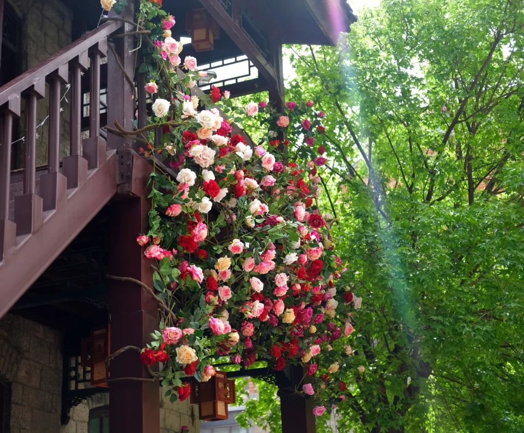 最近济南热门打卡地,济南景区火爆出圈